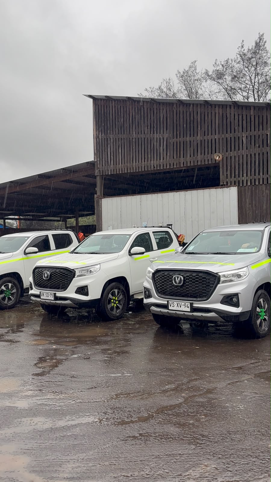 Flota de camionetas para empresa